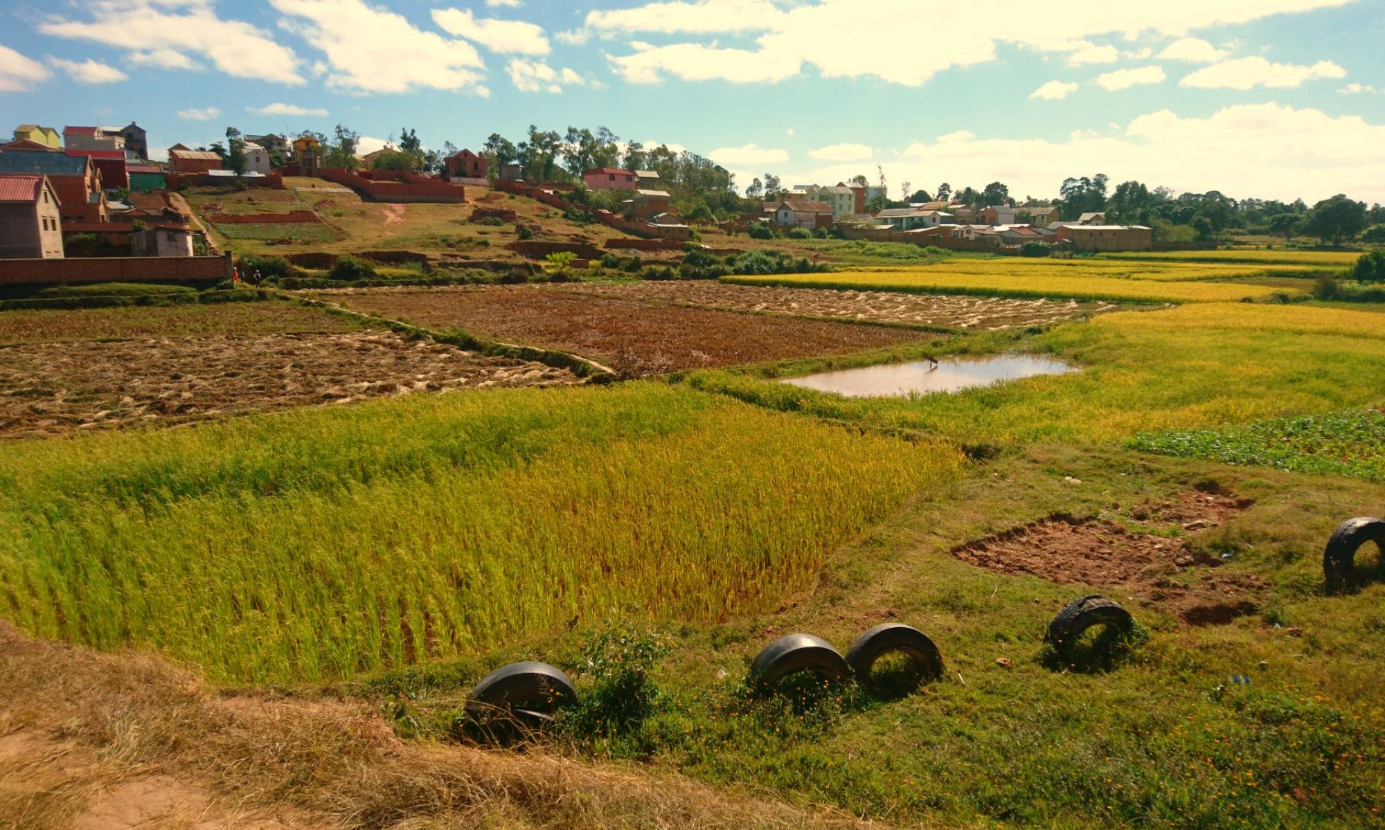 The Bible in Madagascar